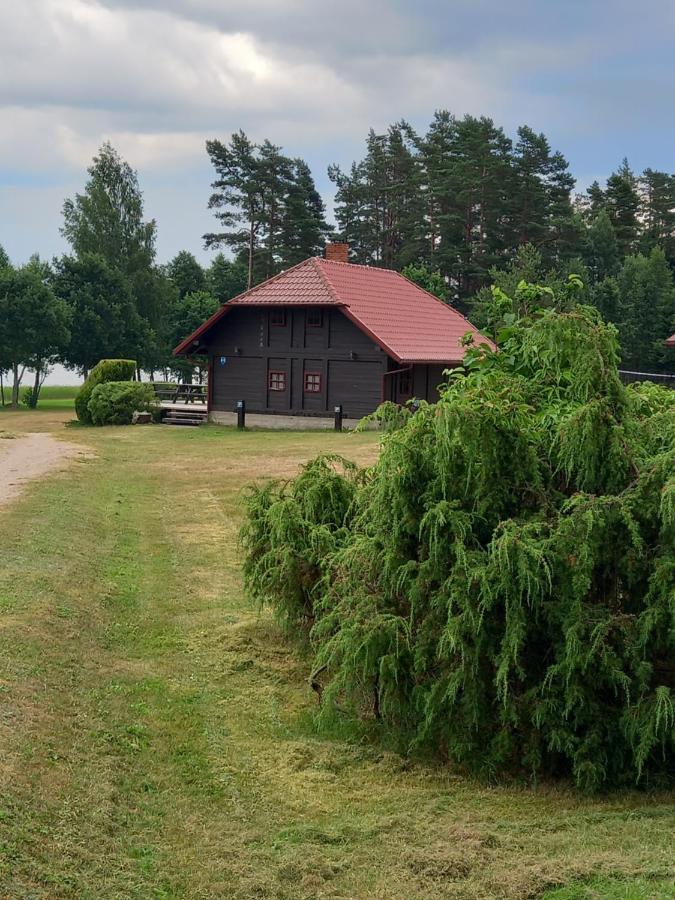 Brivdienu Maja Greizi Myza Dzirtsiyems Exterior foto